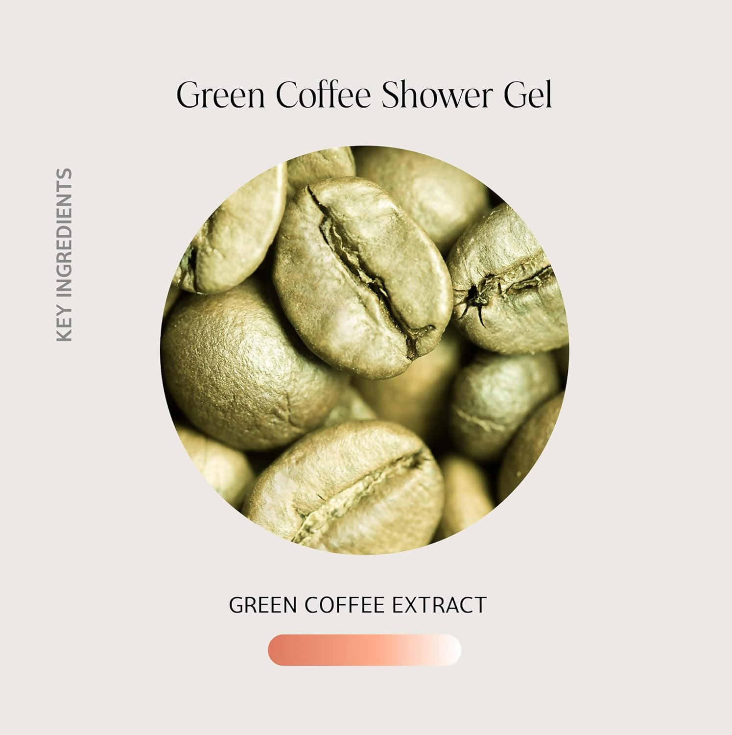 Oteria Premium Exfoliating Green Coffee Body Wash For Shower Gel & Energizing Shower Experience
