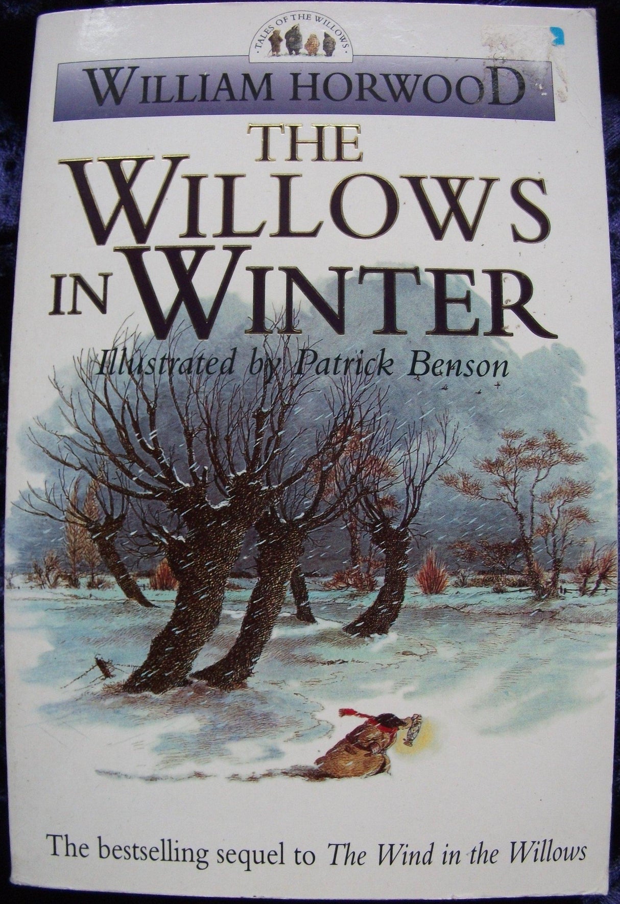 The Willows in Winter