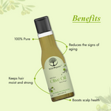 Wild Organic Cold Pressed Extra Virgin Olive Hair Oil