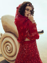 Red Embroidered Net Lehenga