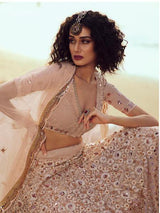 Peach Embroidered Net Lehenga