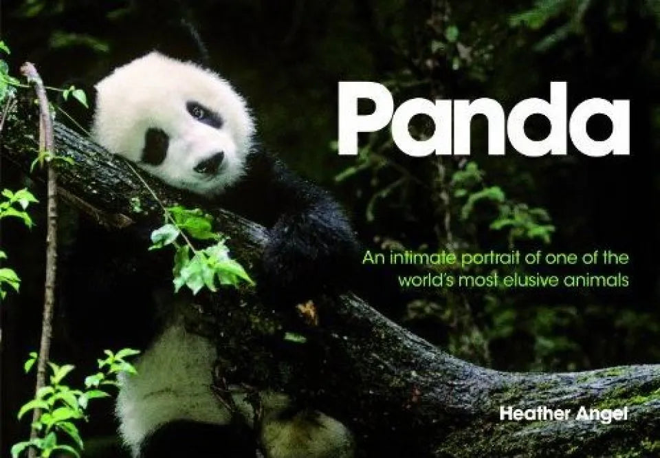 Panda: An Intimate Portrait of One of the World&apos;s Most Elusive Animals