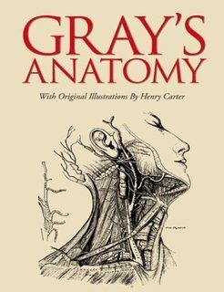 Gray & Anatomy