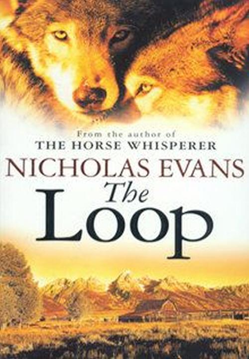 The Loop