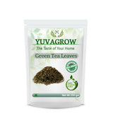 Yuvagrow Green Tea Leaves