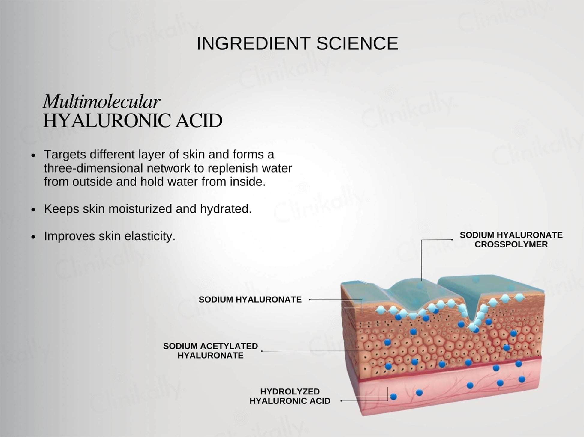 The FormulaRx Malazia Hydra Veil Gel Moisturizer