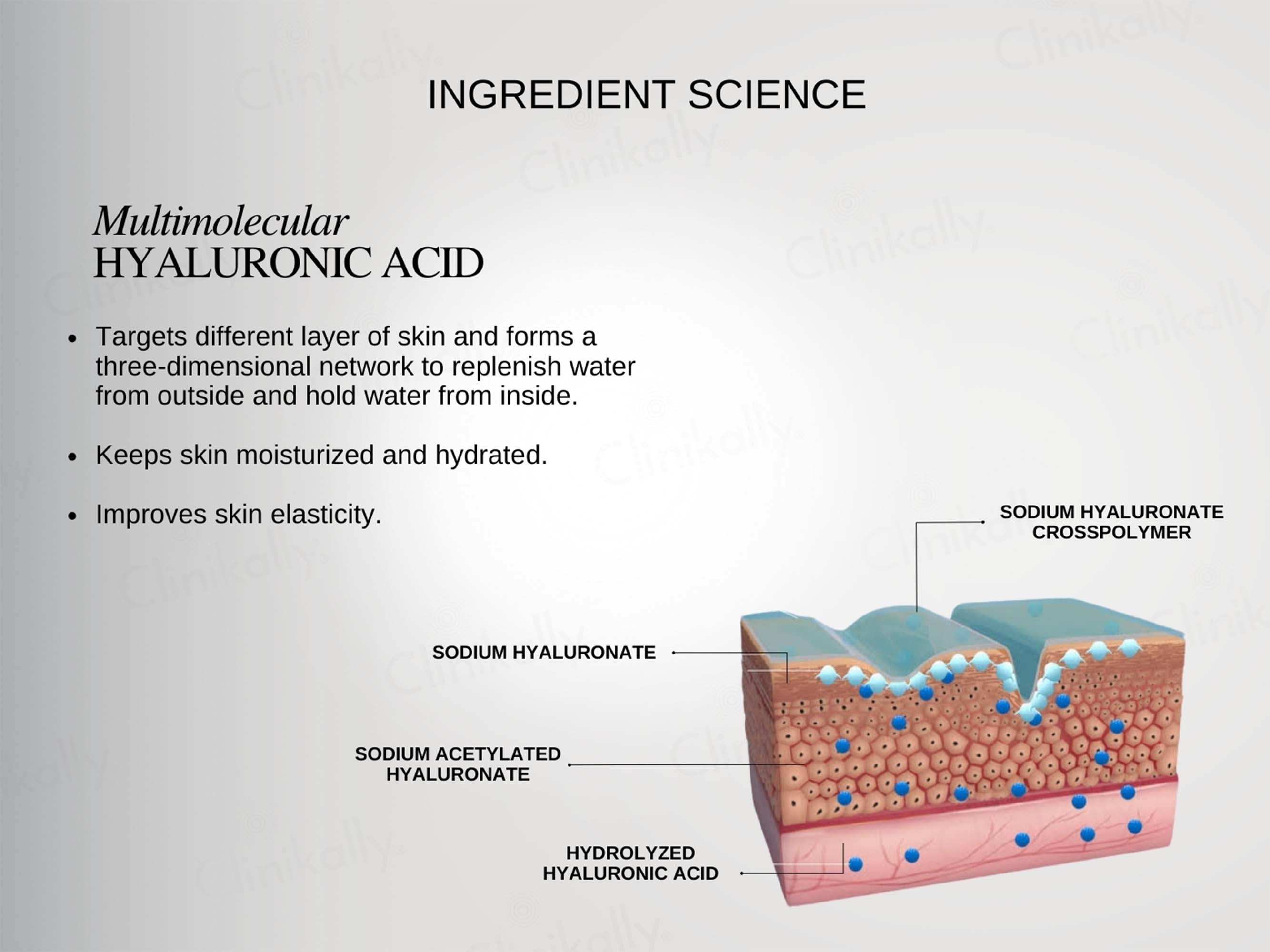 The FormulaRx Malazia Hydra Veil Gel Moisturizer