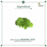 Khadi Natural Organic Brahmi Leaf Powder