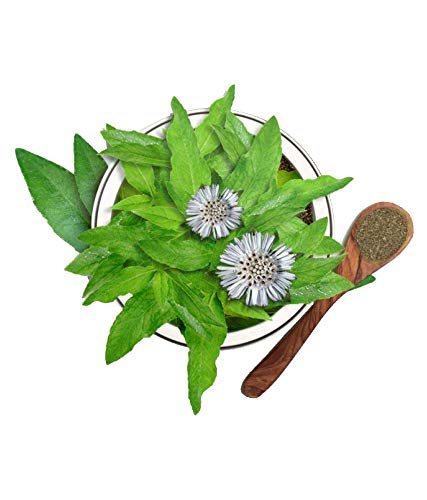 Luxura Sciences Organic Bhringraj Oil Pure and Natural Premium Therapeutic Grade Oil