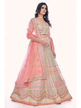 White Soft Net Embroidered Designer Lehenga Choli