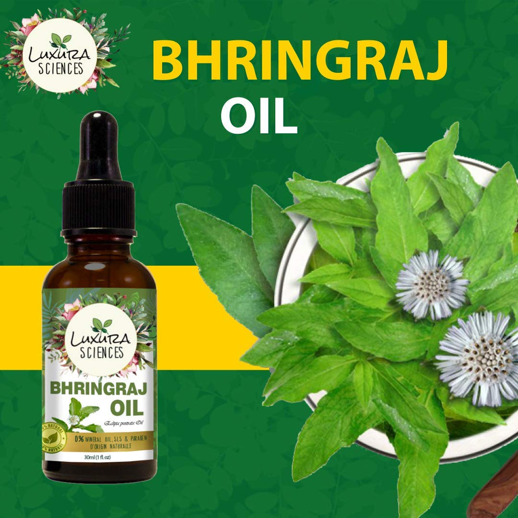 Luxura Sciences Organic Bhringraj Oil Pure and Natural Premium Therapeutic Grade Oil