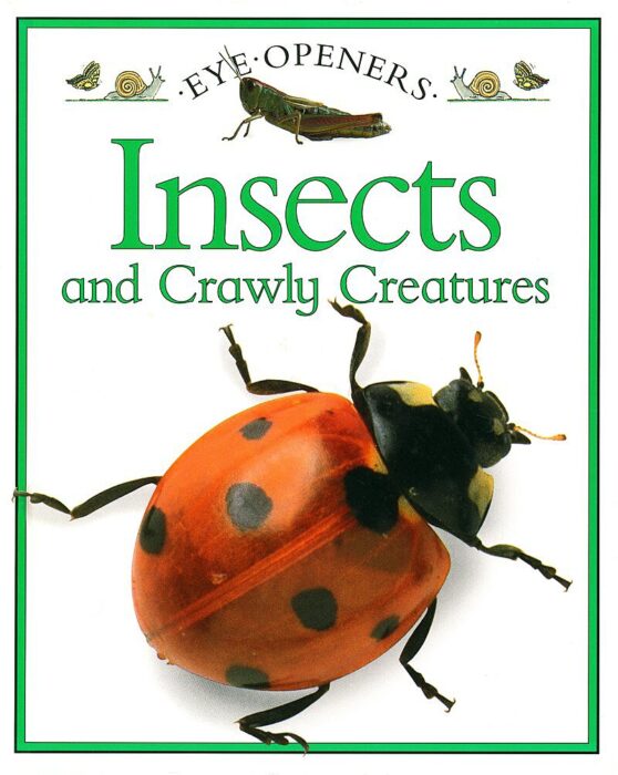 Insects and Crawly Creatures