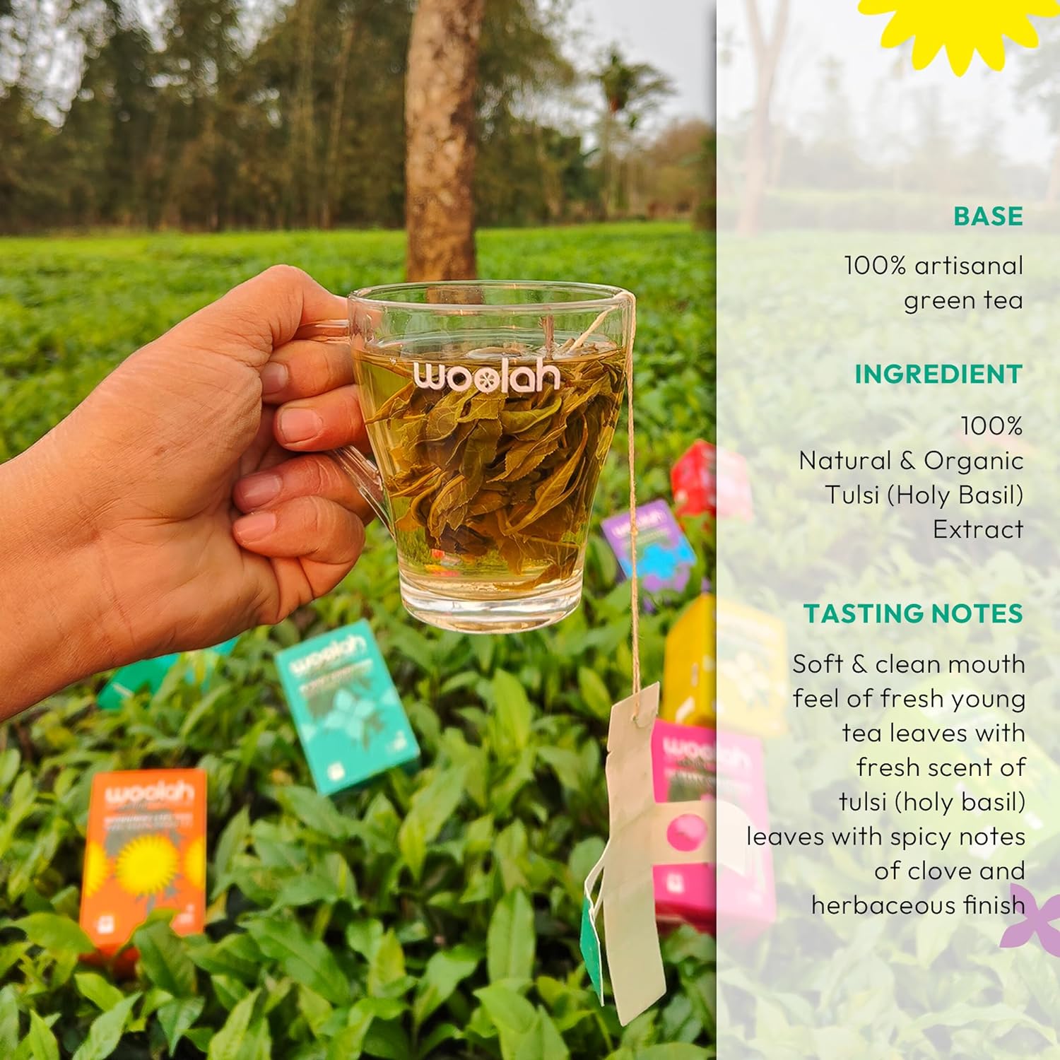 Rare Green Tea + Tulsi