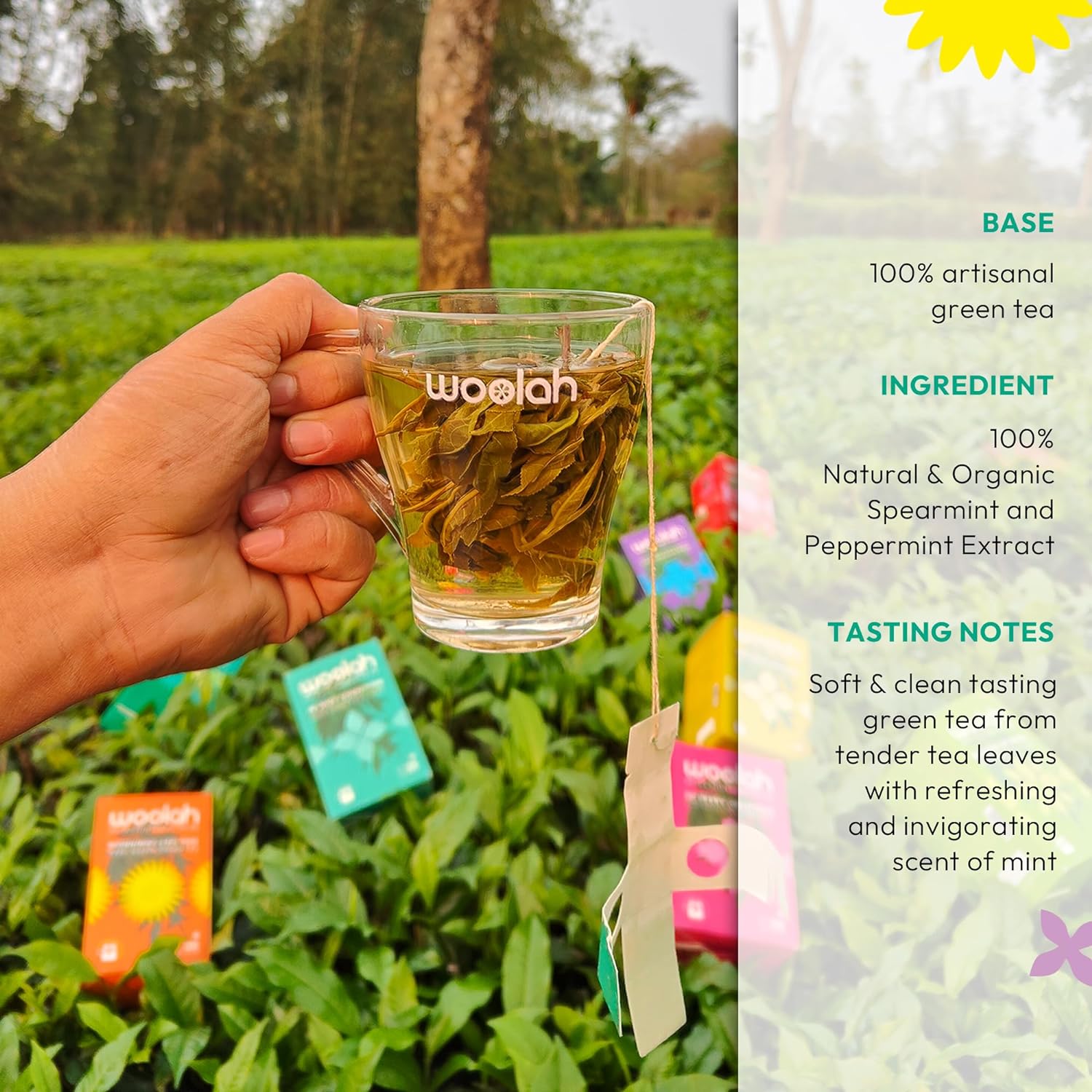 Rare Green Tea + Mint