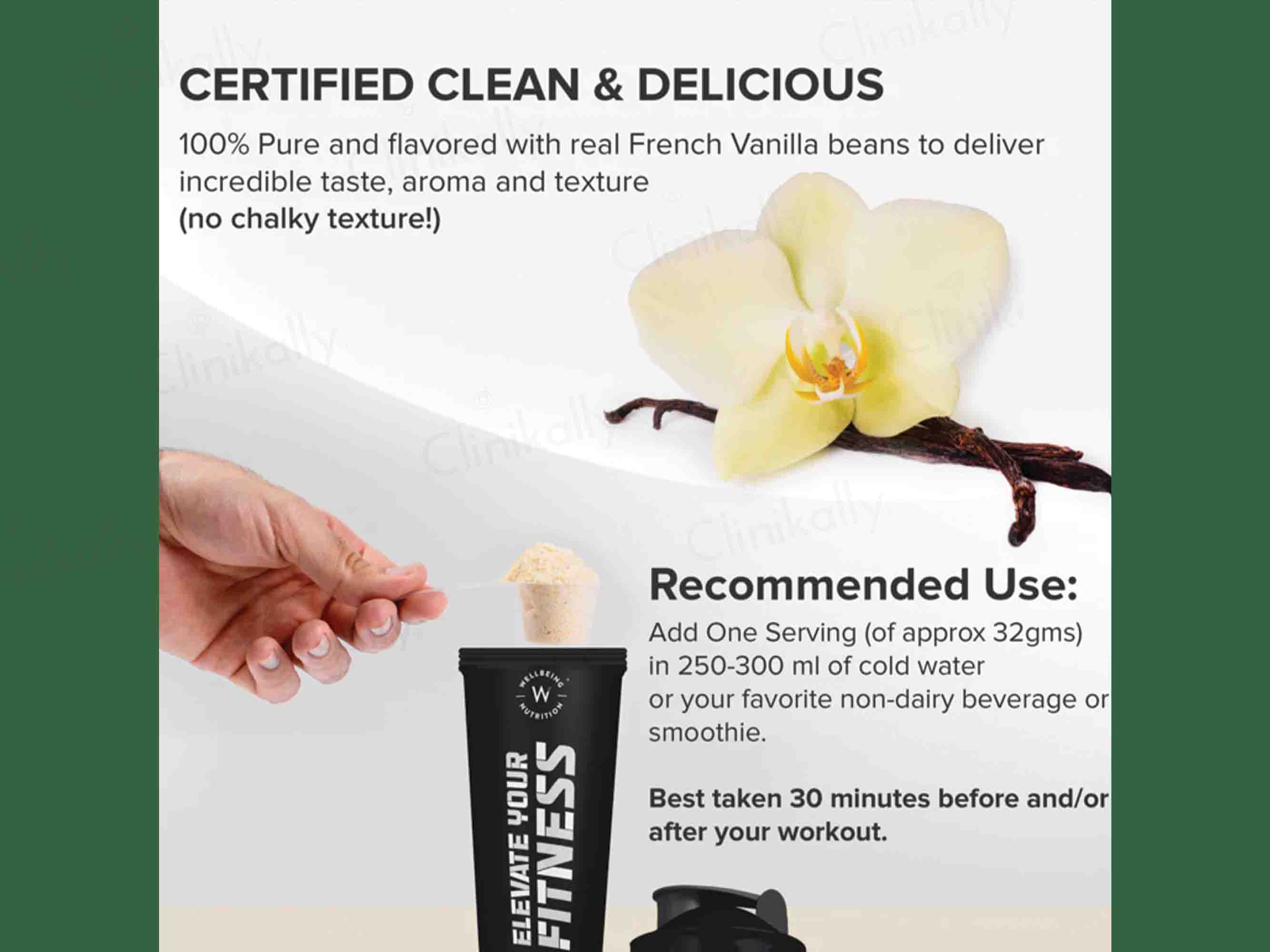 Wellbeing Nutrition Superfood Plant Protein Powder
