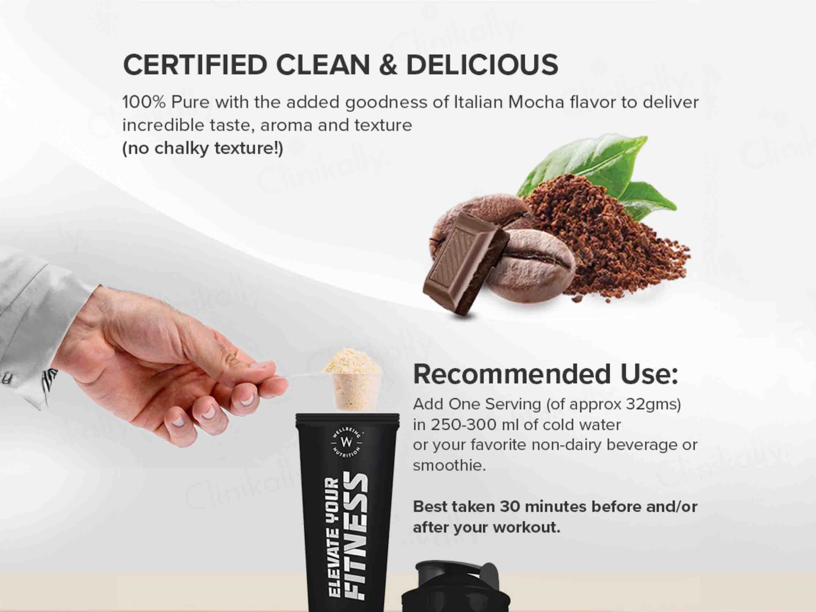 Wellbeing Nutrition Superfood Plant Protein Powder