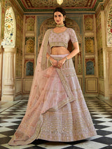 Pink Organza Embroidered Lehenga