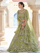 Olive Green Net Embroidered Lehenga