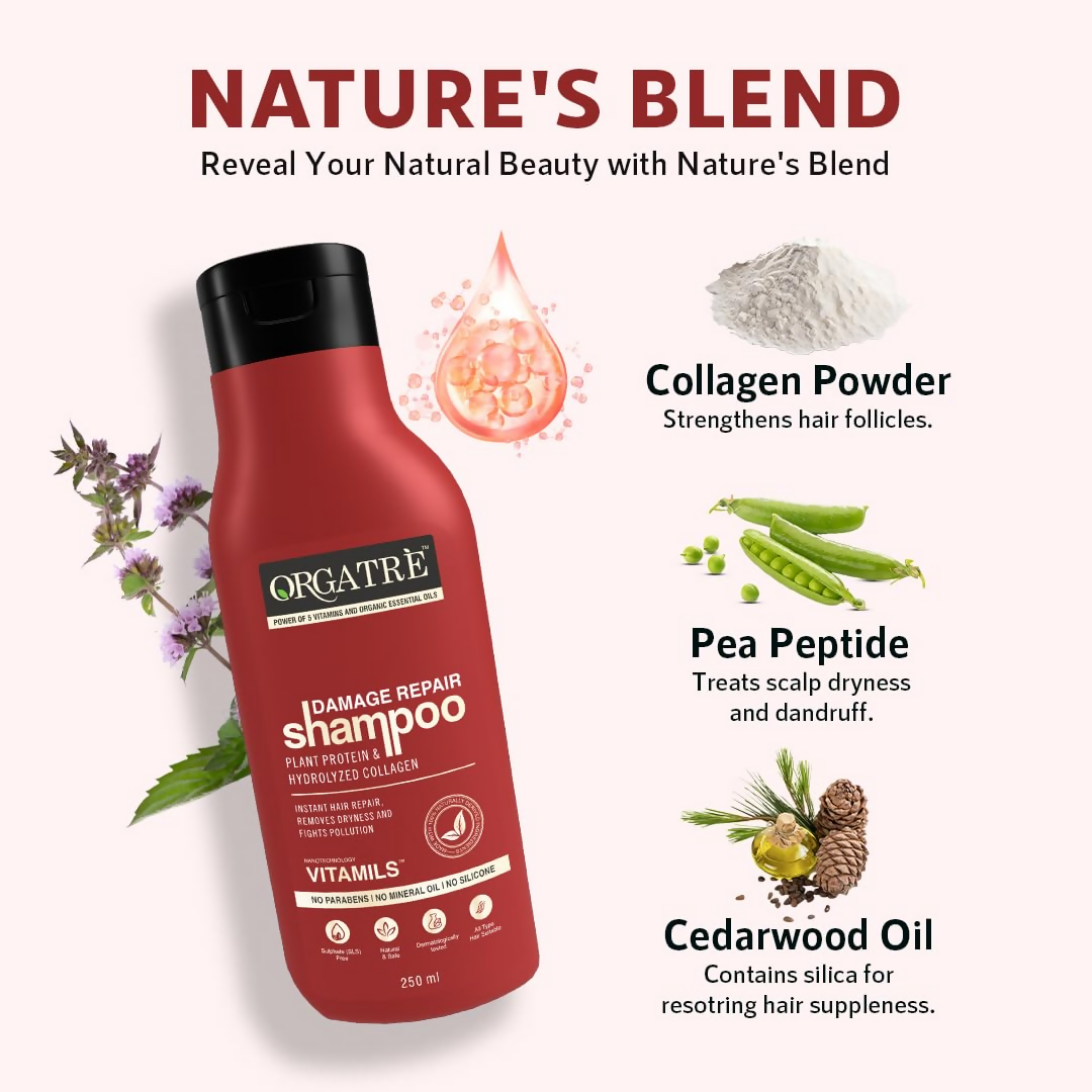 Orgatre Damage Repair Shampoo For Women & Men For Rough Dull & Damaged Hair With Protein & Hydrolyzed Collagen