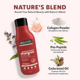 Orgatre Damage Repair Shampoo For Women & Men For Rough Dull & Damaged Hair With Protein & Hydrolyzed Collagen