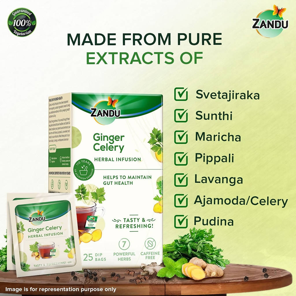 Zandu Ginger Celery Herbal Infusion Tea