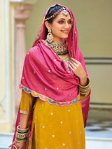 Multicolour Embroidered Sharara