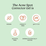 Foxtale Acne Spot Corrector Gel - Reduces Pimples Overnight and Prevents Acne Scars