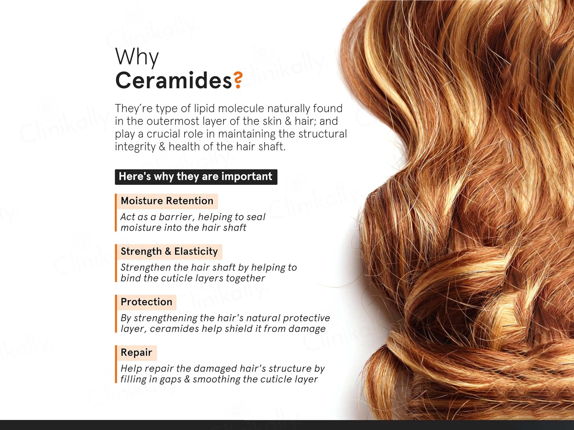 Minimalist Frizz Control Complex Hair Serum SPF 30