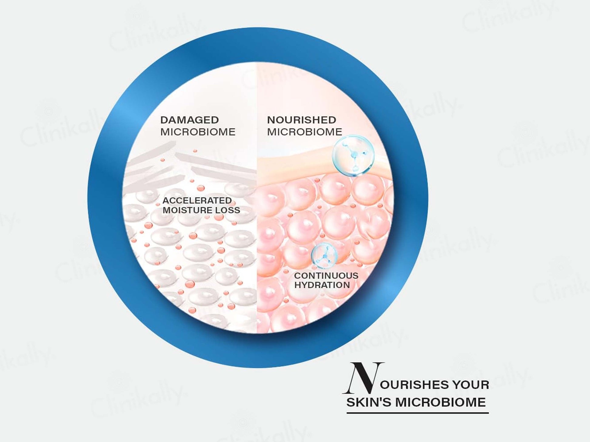 Novology Moisture Barrier Booster Cream