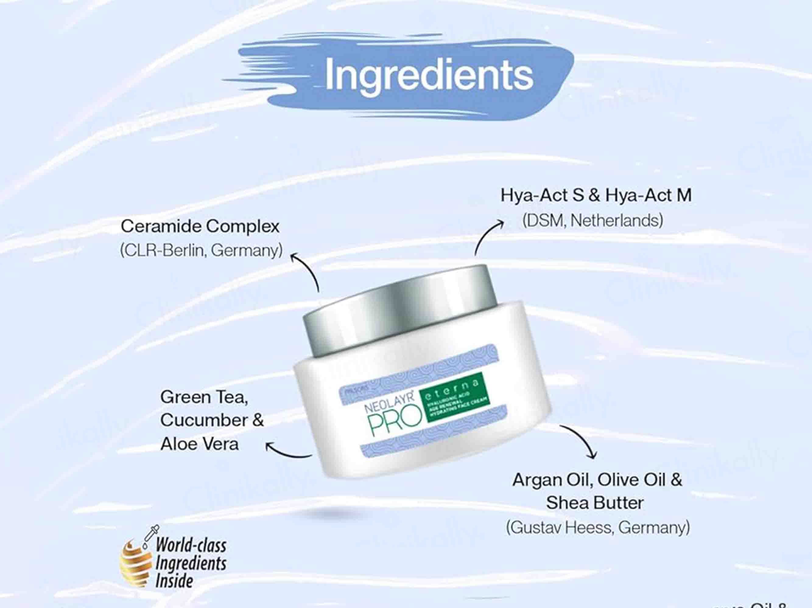 Neolayr Pro Eterna Hyaluronic Age Renewal Hydrating Face Cream