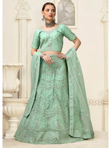 Pista Net Heavy Embroidered Lehenga Choli