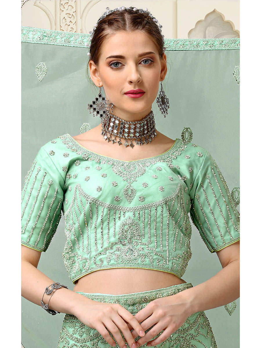 Pista Net Heavy Embroidered Lehenga Choli