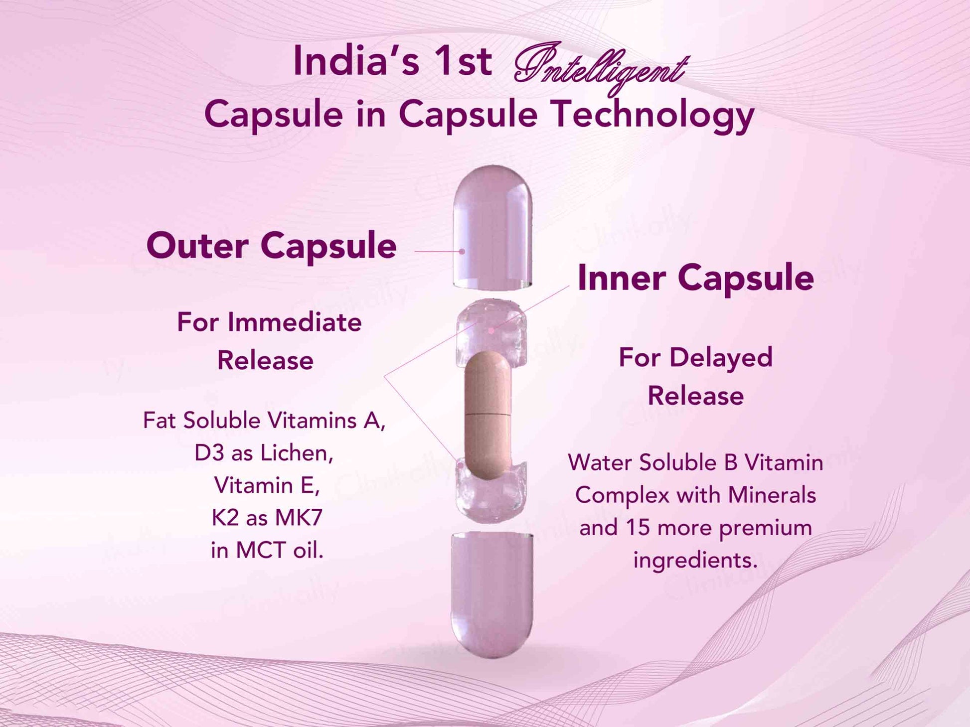 WishNew Wellness Daily Ritual Multivitamin Capsule For Women 18+