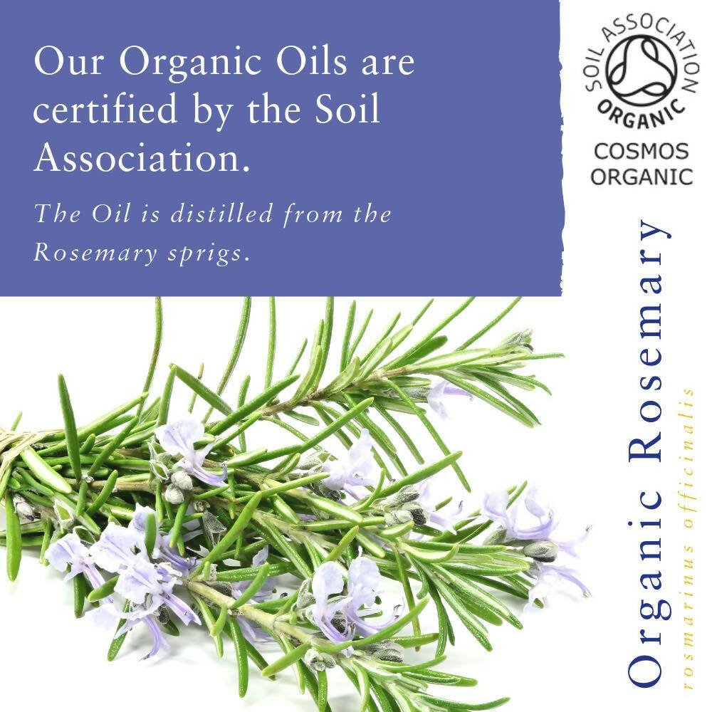 Absolute Aromas Organic Rosemary Essential Oil - Vamzn#