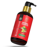 Ae Naturals Roop Sundar Herbal Shampoo - Vamzn#