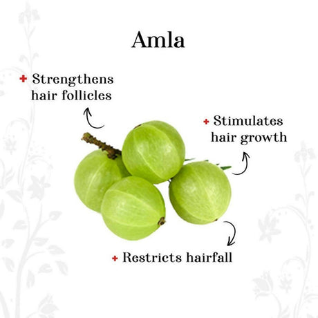 Alps Goodness Amla Reetha & Shikakai Powder - Vamzn#