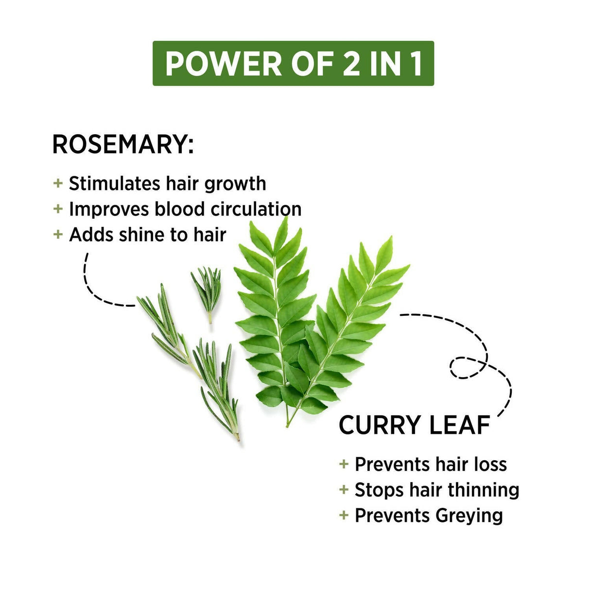 Alps Goodness Rosemary & Curry Leaf Powder - Vamzn#