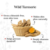 Alps Goodness Wild Turmeric Powder - Vamzn#