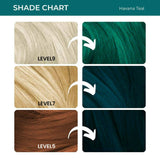 Anveya Semi Permanent Hair Color - Havana Teal - Vamzn#