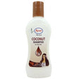Ayur Herbals Coconut Shampoo - Vamzn#