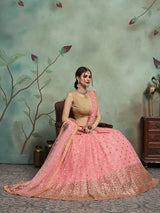 Baby Pink Soft Net Heavy Embroidered Lehenga - Vamzn#