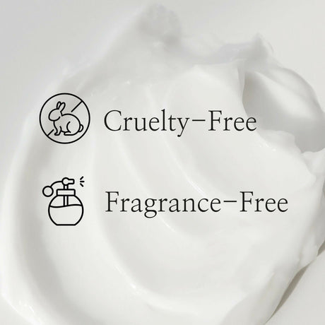 Beauty of Joseon Dynasty Cream - Korean Skincare - Vamzn#