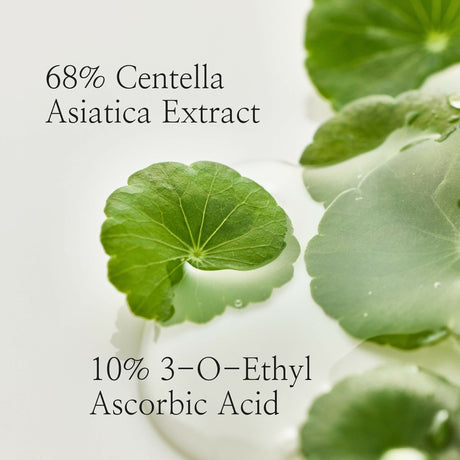 Beauty of Joseon Light On Serum Centella + Vita C - Korean Skincare - Vamzn#