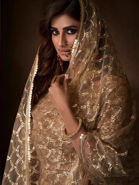 Beige Soft Net Gharara Suit - Vamzn#