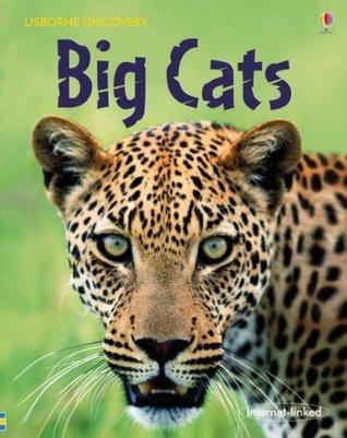 Big Cats (Usborne Discovery) - Vamzn#