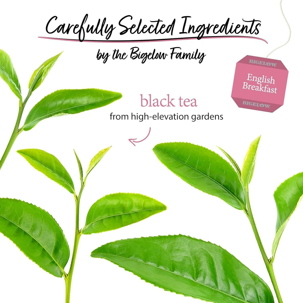 Bigelow Tea English Breakfast Black Tea Freshness & Aroma Caffeinated - Vamzn#