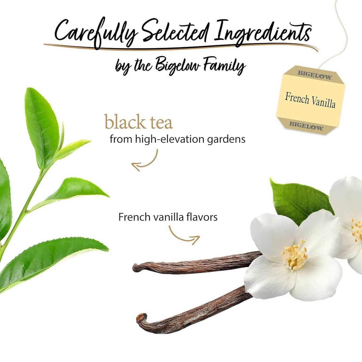 Bigelow Tea French Vanilla Black Tea Caffeinated Freshness & Aroma Caffeinated - Vamzn#