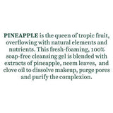 Biotique Advanced Ayurveda Bio Pineapple Oil Control Foaming Face Cleanser - Vamzn#