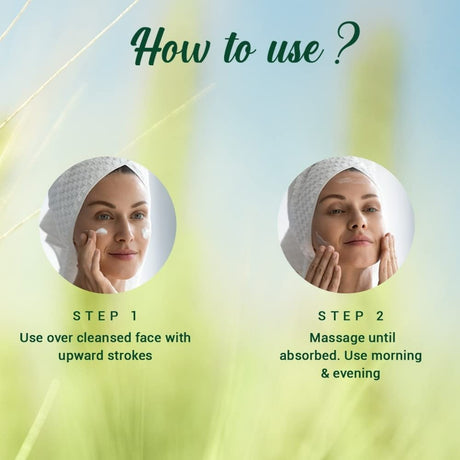 Biotique Advanced Ayurveda WheatGerm Anti - Ageing Night Cream - Vamzn#