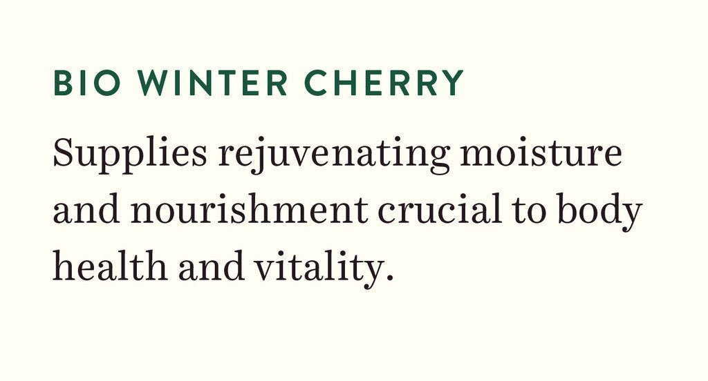 Biotique Winter Cherry Rejuvenating Lotion, 300 milliliters (Pack of 1) | 100% botanical extracts | suitable for all skin types - Vamzn#